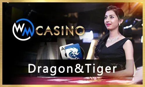 Sports Betting on 1win vs Liga